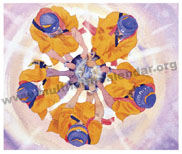 2011 - sikh - wm big